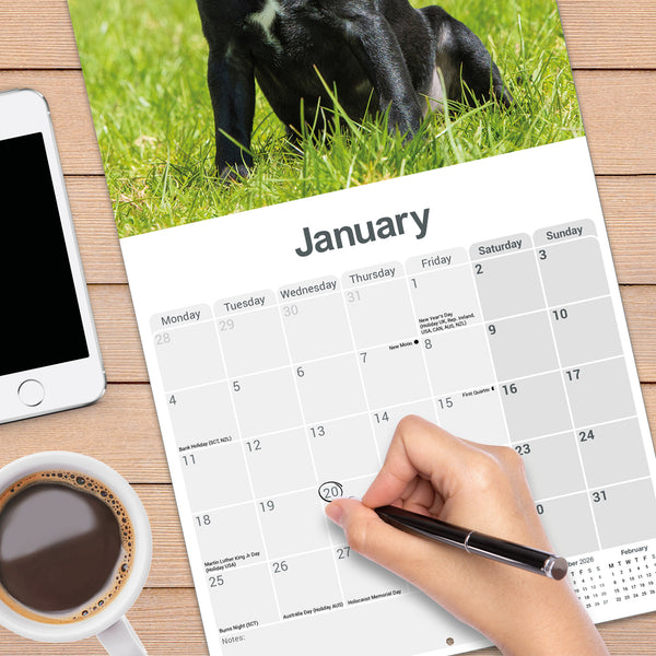 Patterdale Terrier Calendar 2027