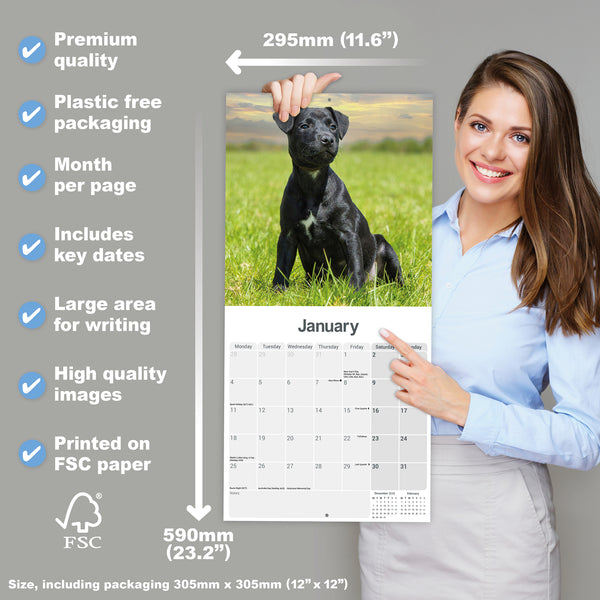 Patterdale Terrier Calendar 2027