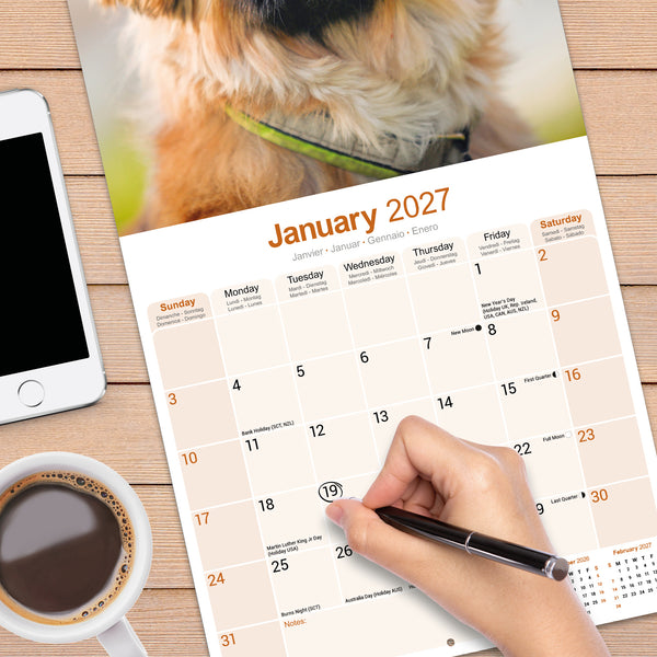 Pekingese Calendar 2027