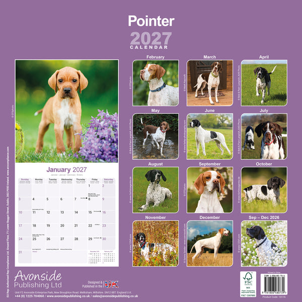 Pointer Calendar 2027