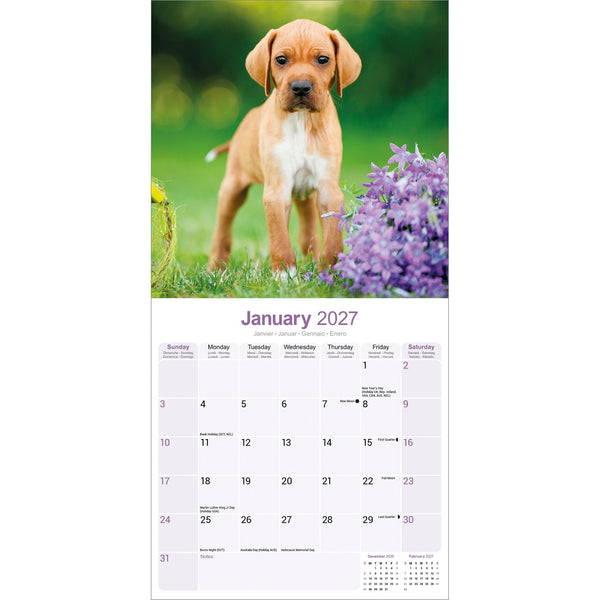 Pointer Calendar 2027