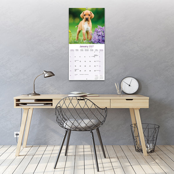Pointer Calendar 2027