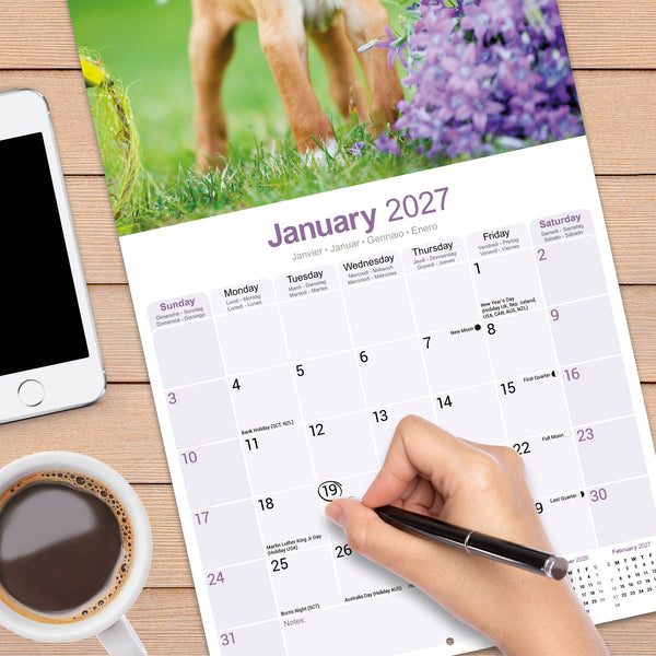 Pointer Calendar 2027