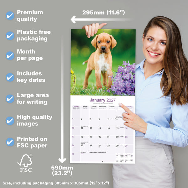 Pointer Calendar 2027