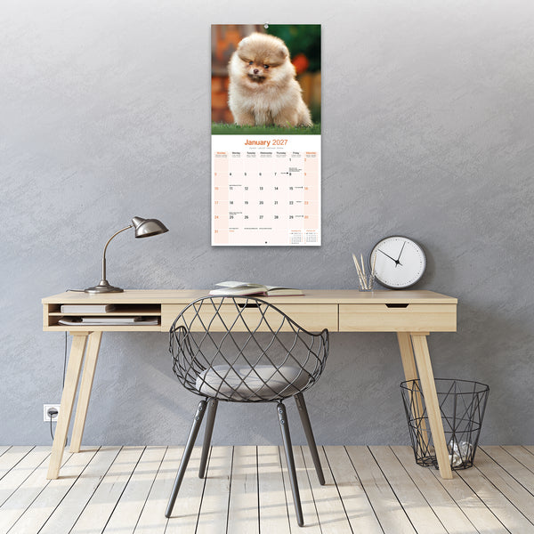 Pomeranian Calendar 2027