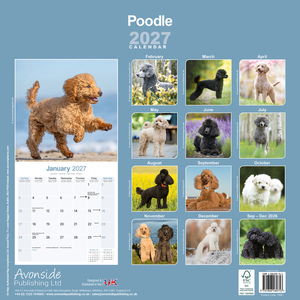 Poodle Calendar 2027