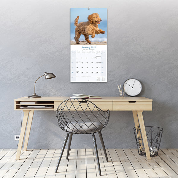 Poodle Calendar 2027