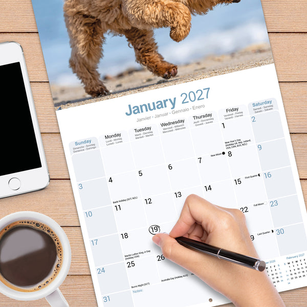 Poodle Calendar 2027