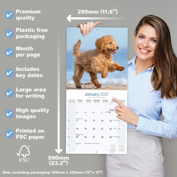 Poodle Calendar 2027