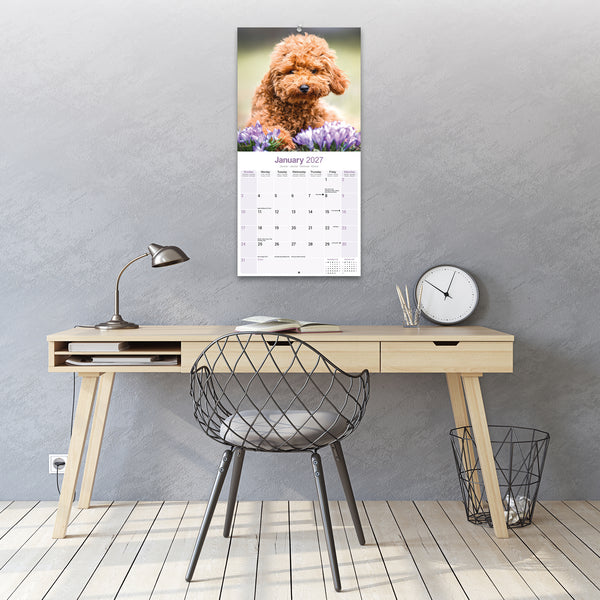 Poodle Toy & Miniature Calendar 2027