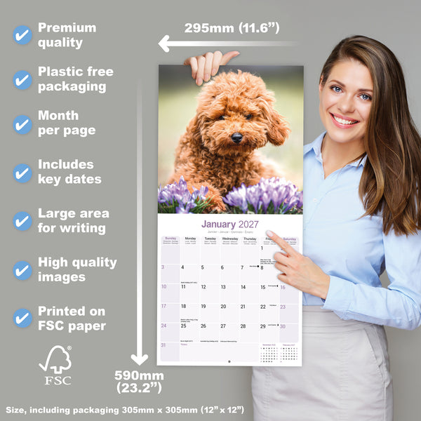Poodle Toy & Miniature Calendar 2027