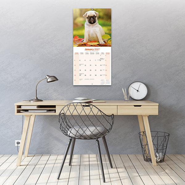 Pug Calendar 2027