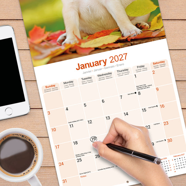 Pug Calendar 2027