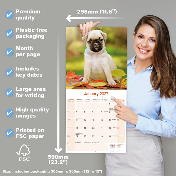 Pug Calendar 2027