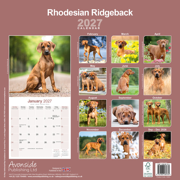 Rhodesian Ridgeback Calendar 2027