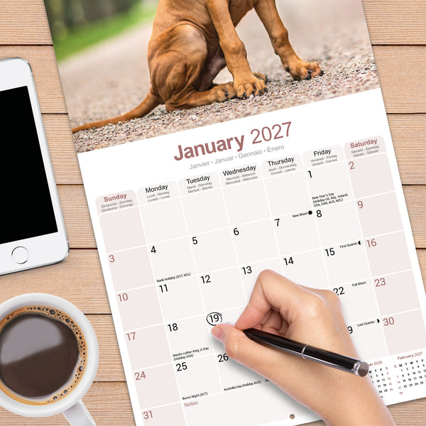 Rhodesian Ridgeback Calendar 2027