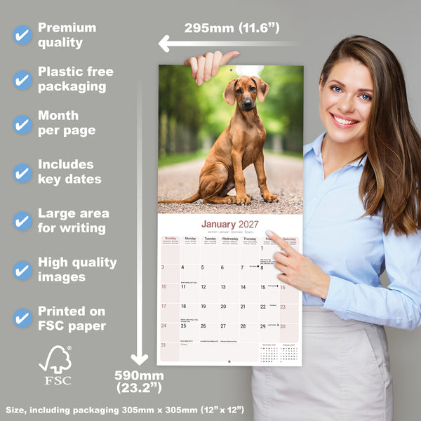 Rhodesian Ridgeback Calendar 2027
