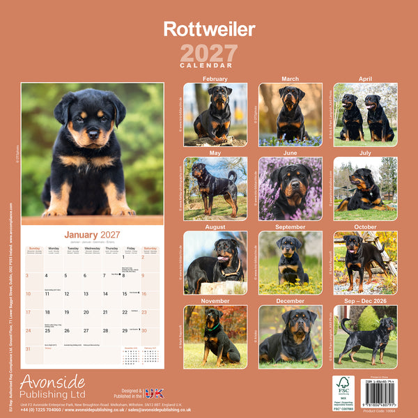 Rottweiler Calendar 2027