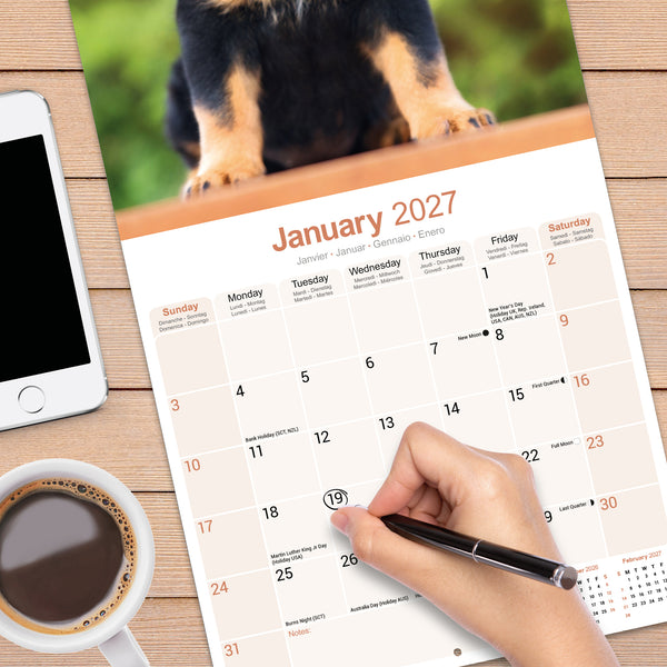 Rottweiler Calendar 2027