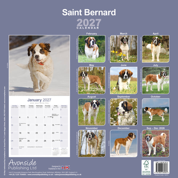 Saint Bernard Calendar 2027