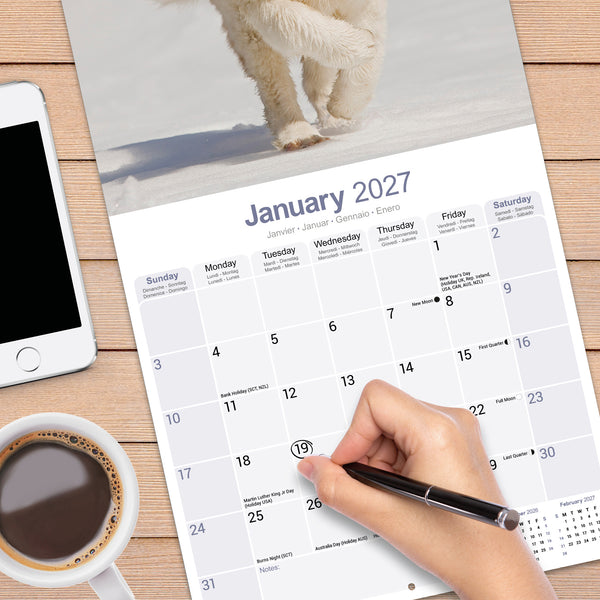 Saint Bernard Calendar 2027