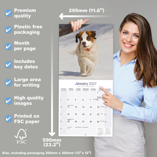 Saint Bernard Calendar 2027