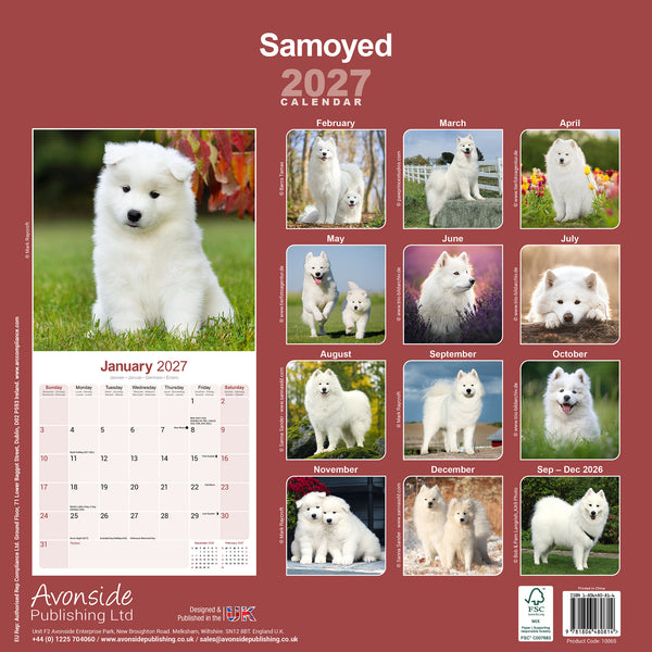 Samoyed Calendar 2027