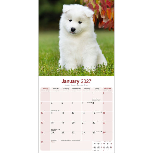 Samoyed Calendar 2027