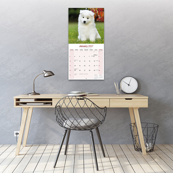 Samoyed Calendar 2027