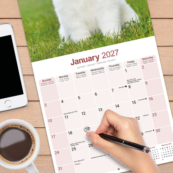 Samoyed Calendar 2027