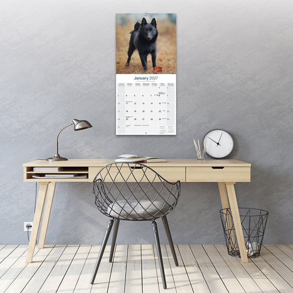 Schipperke Calendar 2027