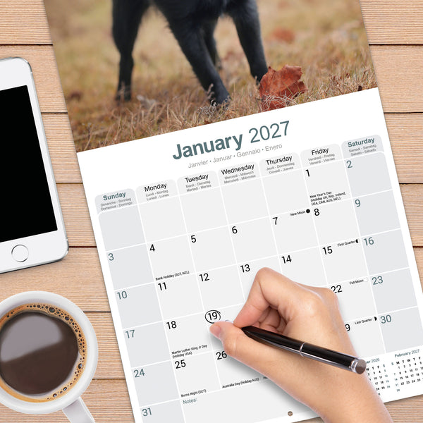 Schipperke Calendar 2027