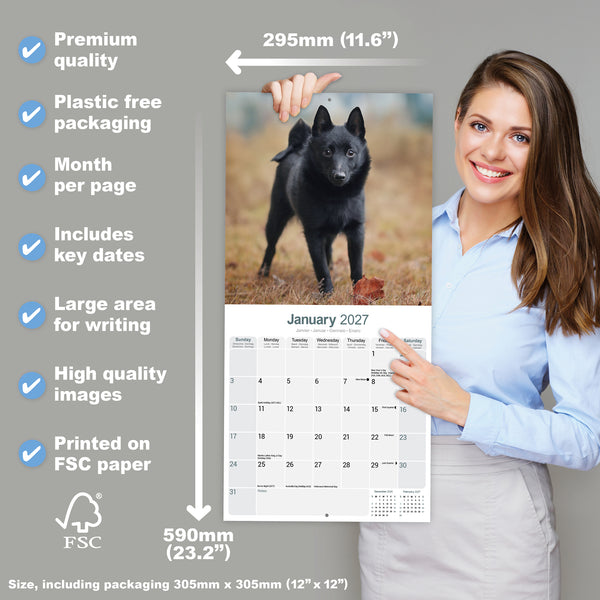 Schipperke Calendar 2027