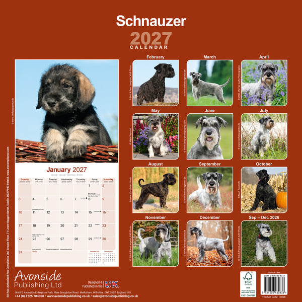 Schnauzer Calendar 2027