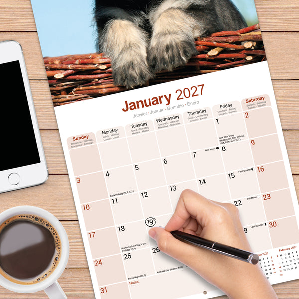 Schnauzer Calendar 2027