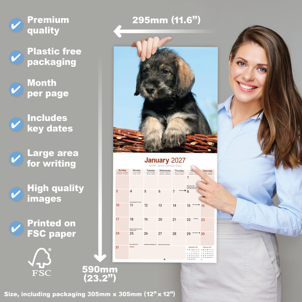Schnauzer Calendar 2027