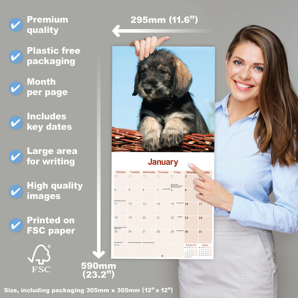 Schnauzer Calendar 2027