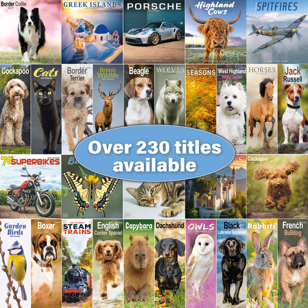 Schnauzer Calendar 2027