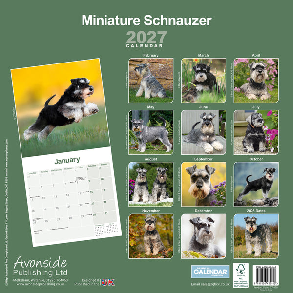 Schnauzer Miniature Calendar 2027