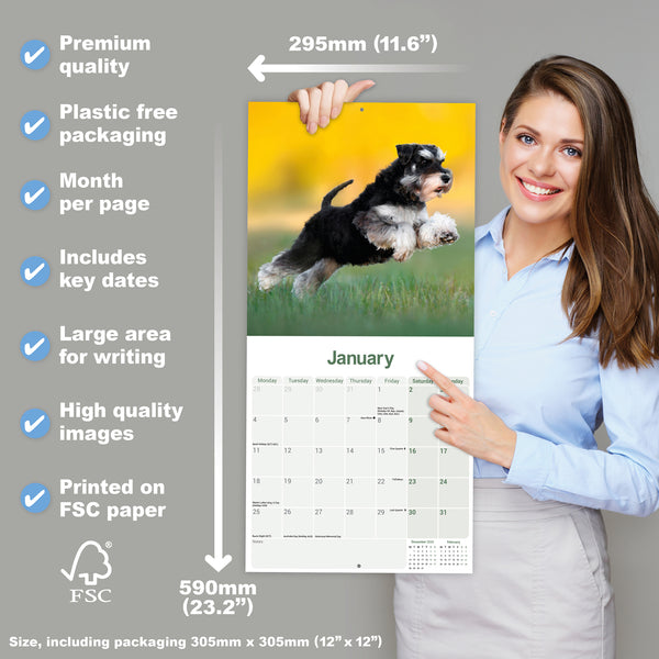Schnauzer Miniature Calendar 2027