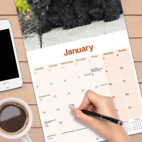Scottish Terrier Calendar 2027