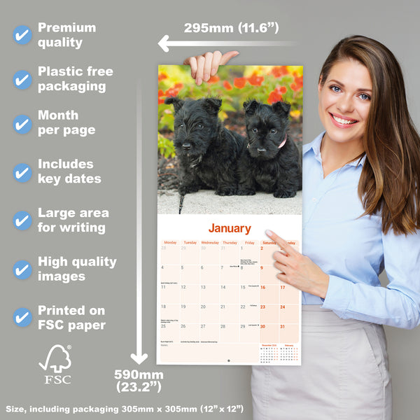 Scottish Terrier Calendar 2027