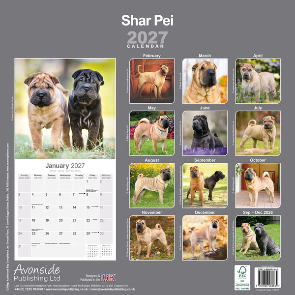 Shar Pei Calendar 2027