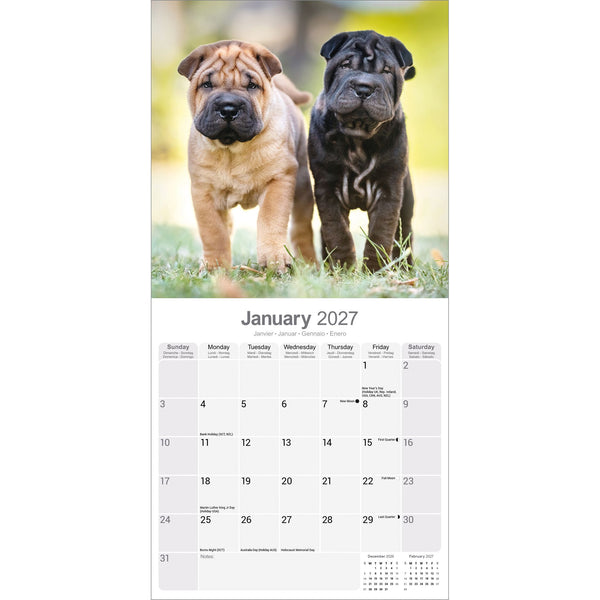 Shar Pei Calendar 2027