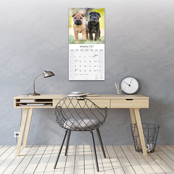 Shar Pei Calendar 2027