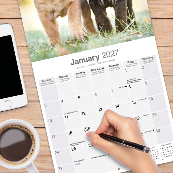Shar Pei Calendar 2027