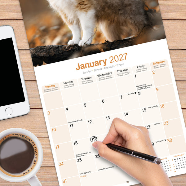 Shetland Sheepdog Calendar 2027