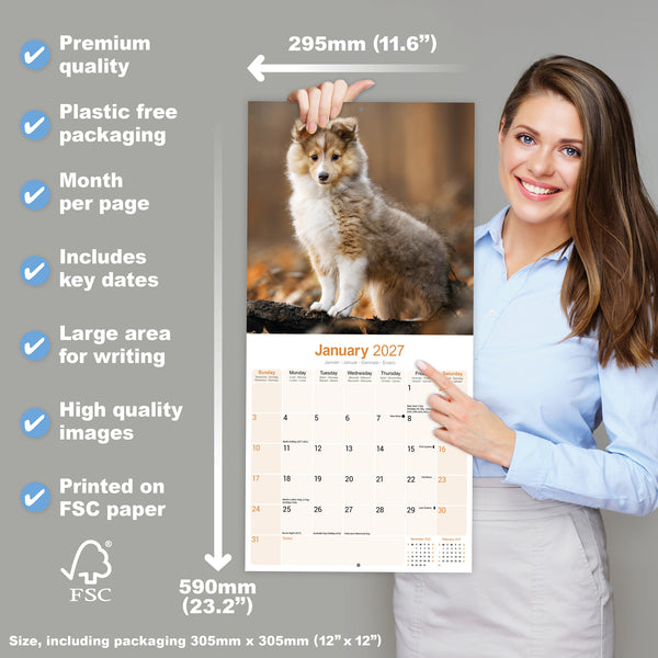 Shetland Sheepdog Calendar 2027