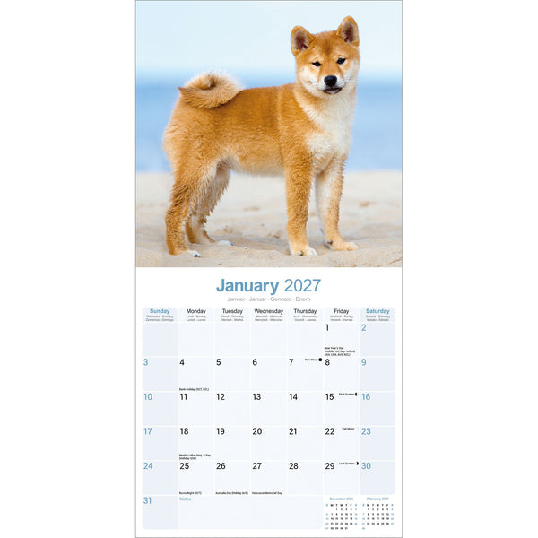 Shiba Inu Calendar 2027