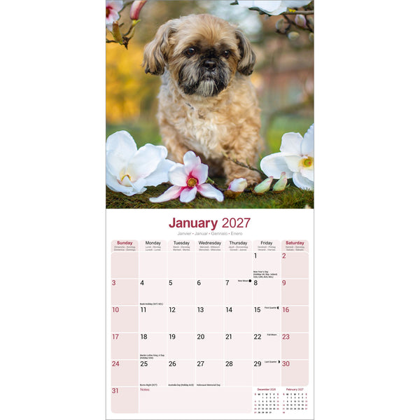 Shih Tzu Calendar 2027